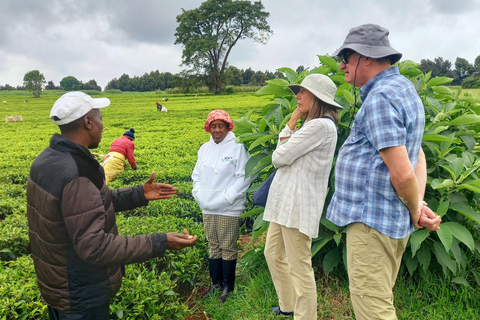 Nairobi: excursão de meio dia a uma fazenda de chá com almoço e degustação de chá.Nairóbi: Passeio de meio dia para tomar chá com almoço e degustação de chá.