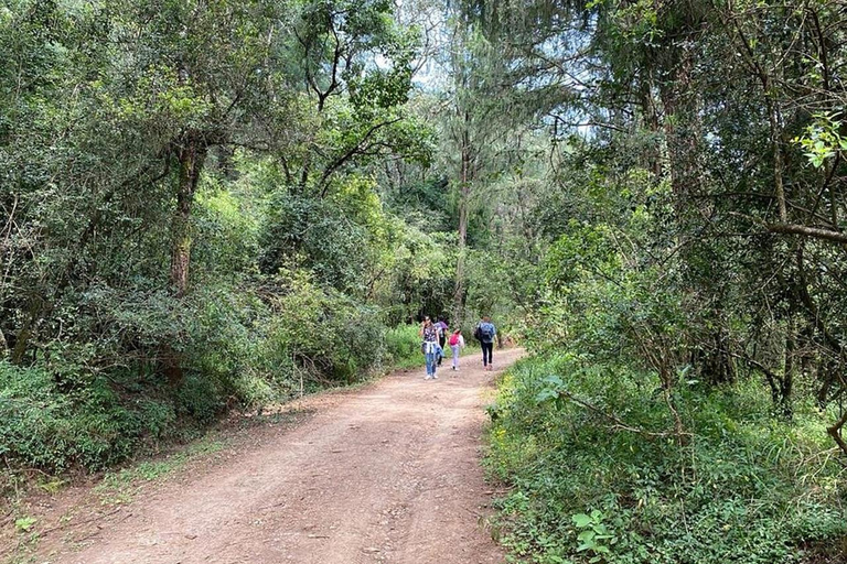 3 Days Short excursion around Addis Ababa