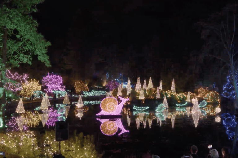 Vancouver : Tour en trolley des lumières de Noël avec karaoké