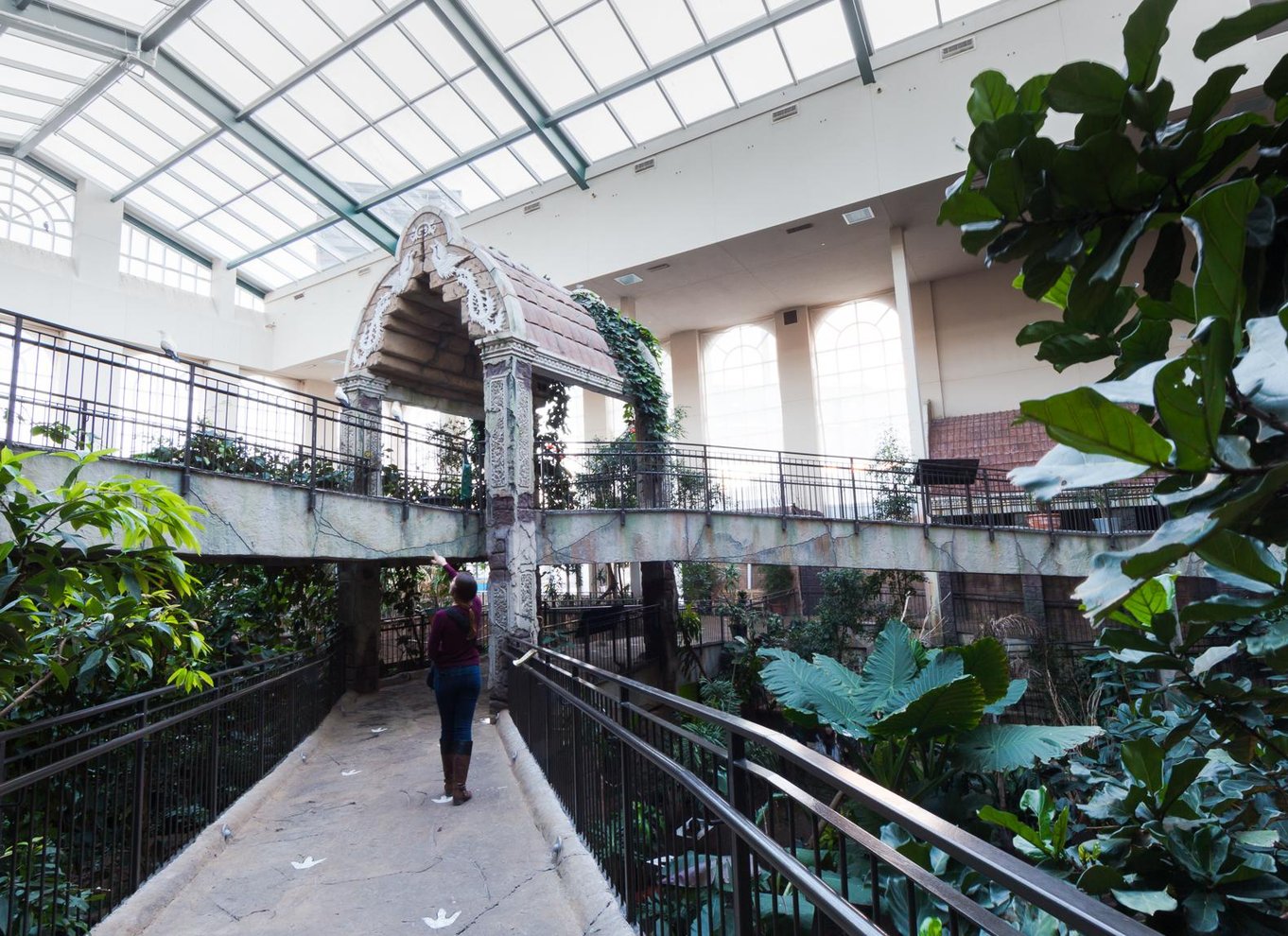 Niagara Falls, Canada: Bird Kingdom Entry Ticket