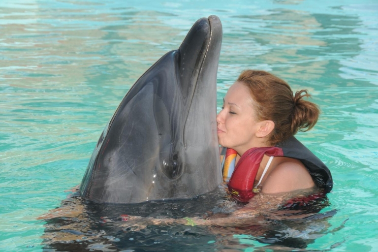 Dolphin Show | Dolphin Park Transfer From Alanya & Side From Alanya Location