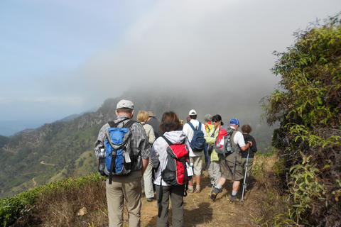 Trekking z Kandy do Ella