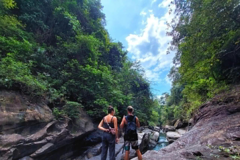 Colombo: Kithulgala Rainforest Birdwatching Tour & Lunch Colombo: Kithulgala Birdwatching Group Tour & Lunch