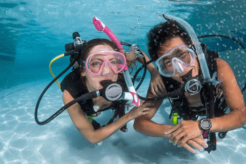 Curso PADI Open Water de 4 días para aprender a bucear