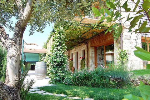 From Venice: Wine and Food tour in the Prosecco Hills