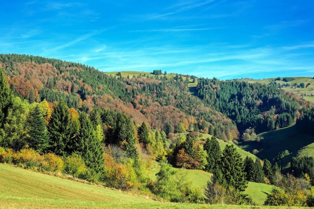 Visit Black Forest one day italian tour to waterfall & Museums in Gengenbach, Germany