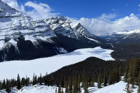 Banff National Park: Lake Louise & Upper Hot Springs Tour