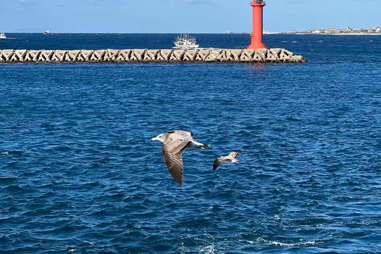 Jeju Island: Udo, Seongsan Ilchulbong & Hamdeok Tour