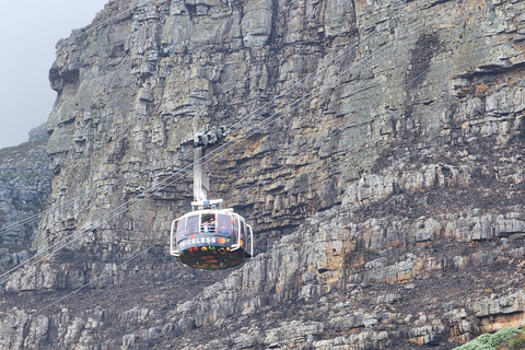 Kaapstad: Tafelberg en stellenbosch Big Cats Park