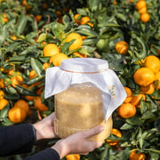 Jeju: Tangerine Makgeolli Brewing Class with Tasting Jeju: Tangerine Makgeolli Brewing Class with Tasting