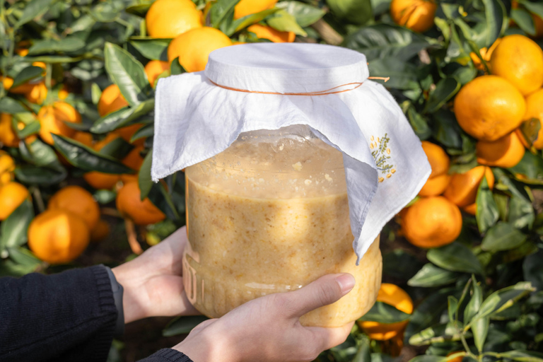 Jeju: Tangerine Makgeolli Brewing Class with Tasting