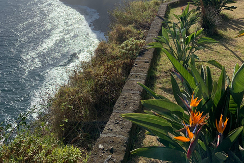 Madeira: tour panoramico privato per 1-2 persone