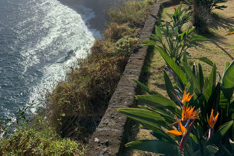 Madeira: privé sightseeingtour voor 1-2 personen