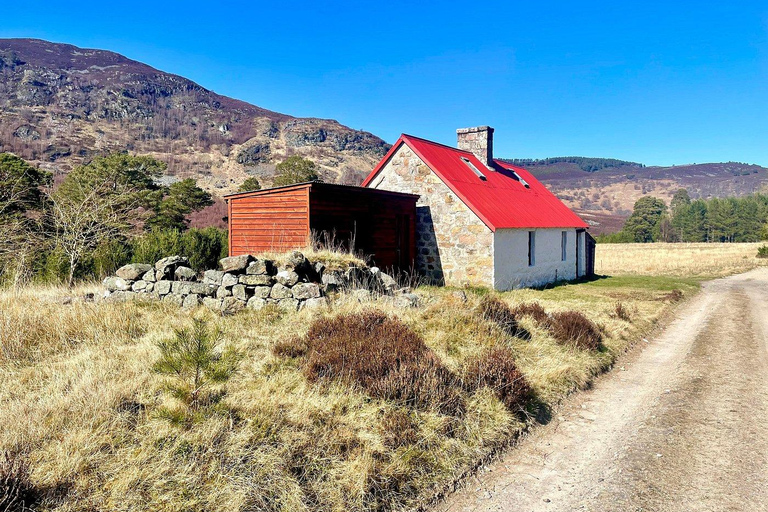 Edimburgo: viaggio privato di un giorno tra le Highlands e Loch NessEdimburgo: tour privato di un giorno tra Highlands e Loch Ness