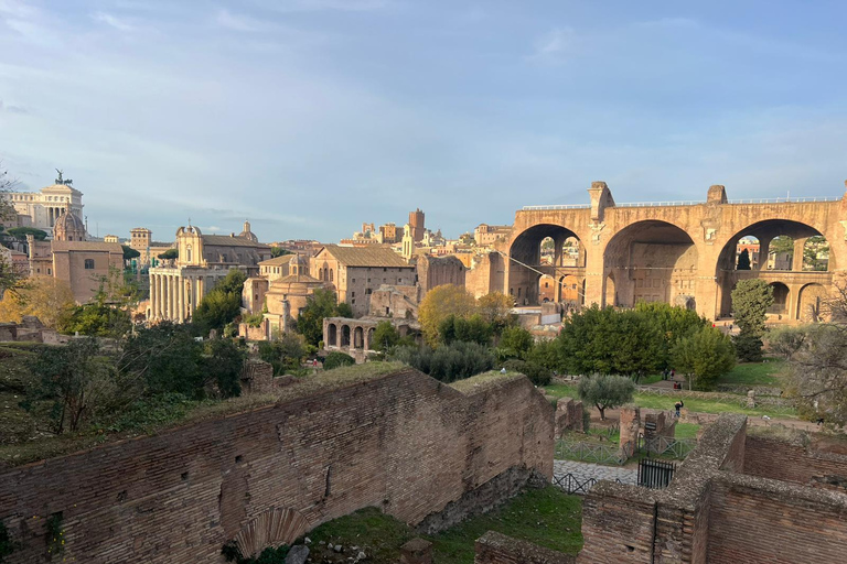 Small Group Guided Tour Colosseum Roman Forum, Palatine Hill Standard Tickets