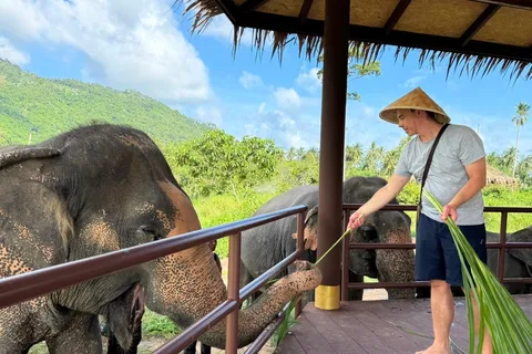 Samui: Il primo museo degli elefanti e la prima passeggiata nella giungla con gli elefanti