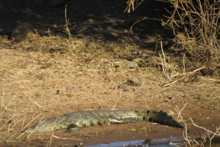 Zimbabwe: 7-Day Victoria Falls, Hwange & Matobo Tour