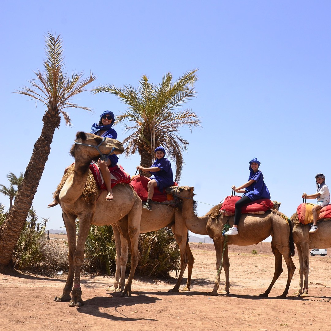 Marrakech : balade à dos de chameau dans le désert de Rehamna avec thé marocain