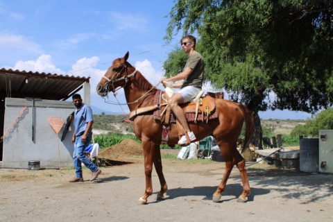 Oaxaca: Paardrijden en Mezcal proeverij