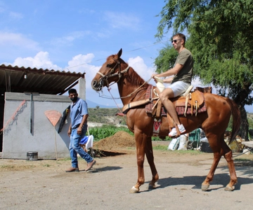 Oaxaca: Passeio a cavalo e prova de Mezcal
