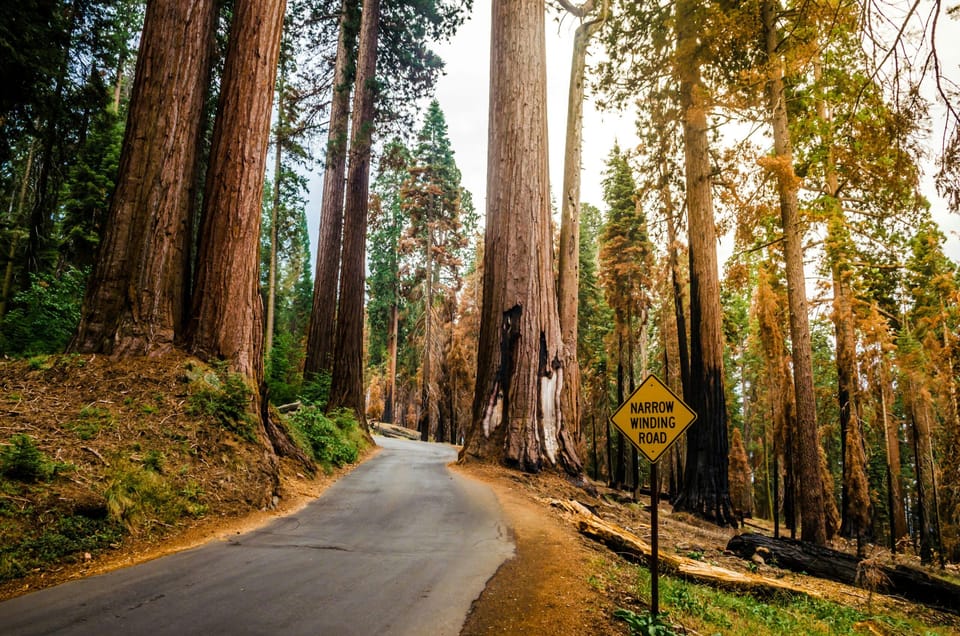 Los Angeles: 5-Day California Parks Tour to San Francisco image 3