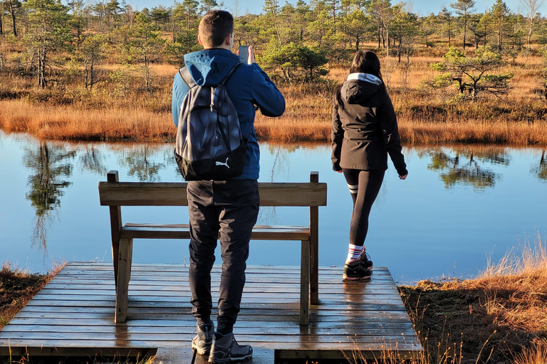 Great Ķemeri Bog & Swamp Forest Hiking Adventure Shared group tour