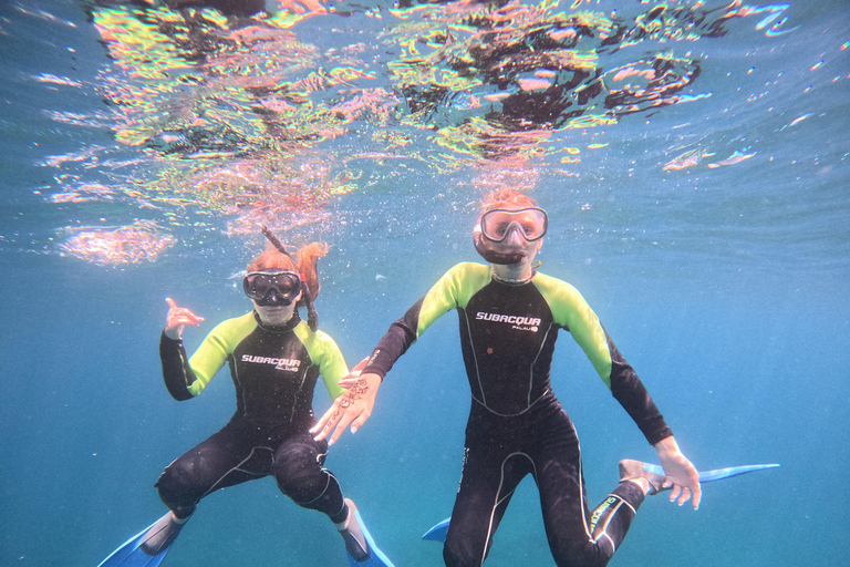 Tenerife: snorkelsafari in het schildpaddengebied