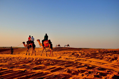 De Jaipur: Excursão de 7 dias pelo Rajastão com acomodação