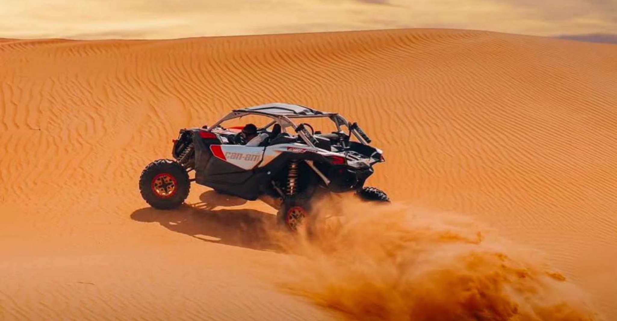 Doha: ATV, Quad/Buggy Dune Bashing, Camel Ride, Sandboarding photo 18