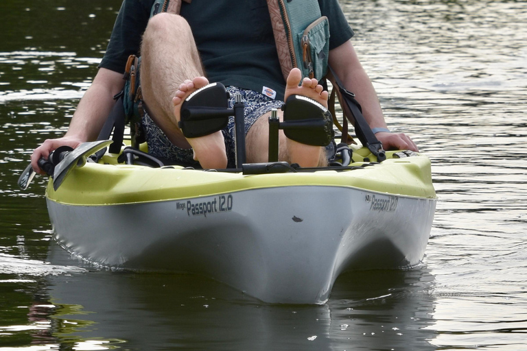 From Naples, FL: Marco Island Mangroves Kayak or Paddle Tour Easy Ride Pedal Kayak Tour