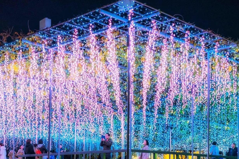 Tokyo & Ibaraki Tour: Hitachi Seaside Park & Adachi Wisteria