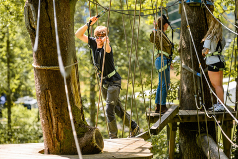 Windermere: Treetop Course (Full Trek)