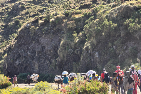 Äthiopien: 29-tägige Tour durch den Norden, Osten und Süden