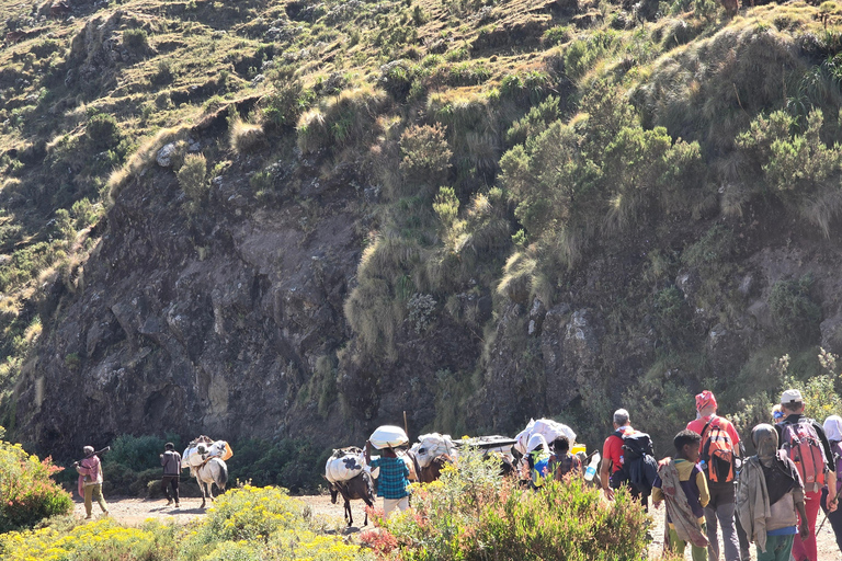 Äthiopien: 29-tägige Tour durch den Norden, Osten und Süden