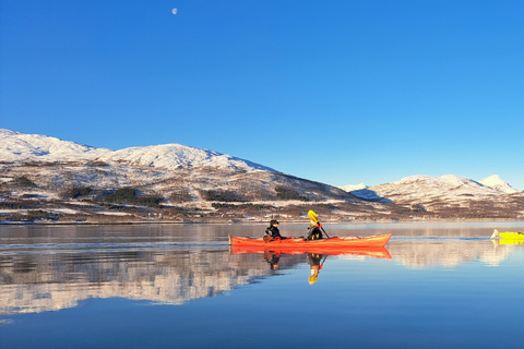 Tromsø: Easy Winter Kayaking Tour with Seal Watching