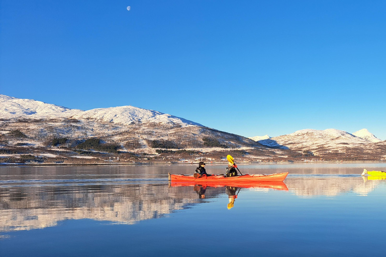 Tromsø: Easy Winter Kayaking Tour with Seal Watching
