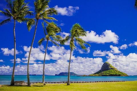 Oahu: Grand Circle Island Tour with Haleiwa