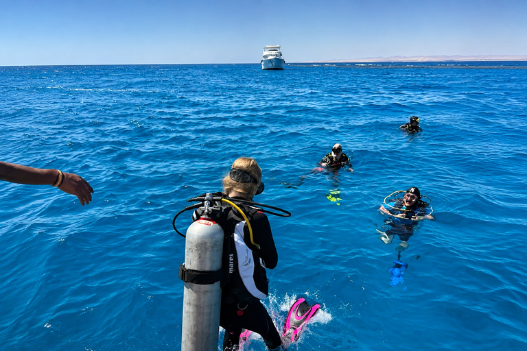 Marsa Alam: Samadai Dolphin House Snorkeling or Diving Marsa Alam: Samadai Dolphin House Snorkeling
