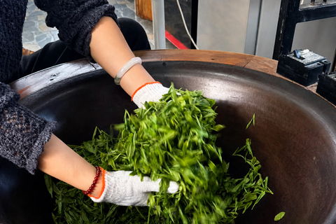 Hangzhou: Longjing Tea Workshop – Shared or Private VIP All-Inclusive Private VIP Tea Workshop