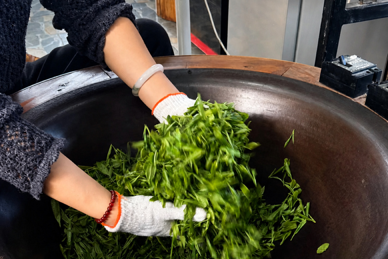 Hangzhou: Longjing Tea Workshop – Shared or Private VIP All-Inclusive Private VIP Tea Workshop