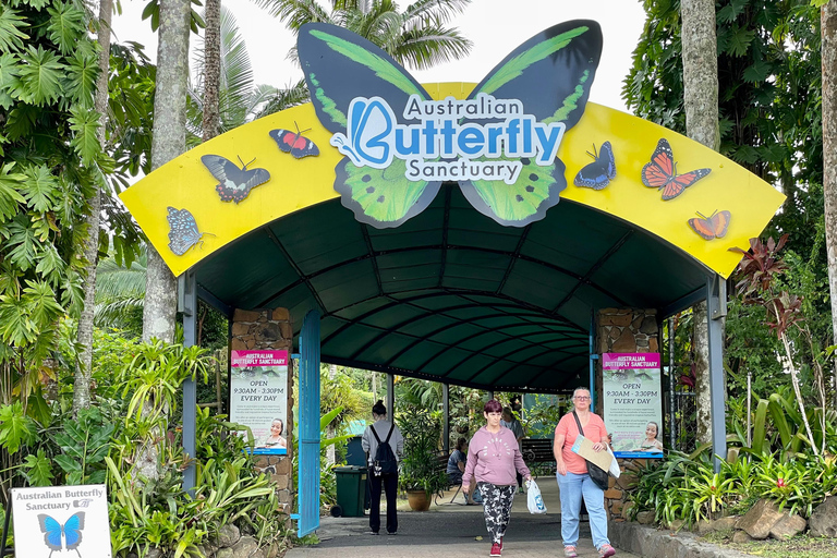 Cairns: Tour en grupo reducido por Kuranda en tren panorámico y Skyrail