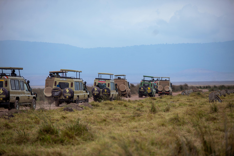 Arusha: 4-Day Mid-Range Safari to Tarangire and Ngorongoro