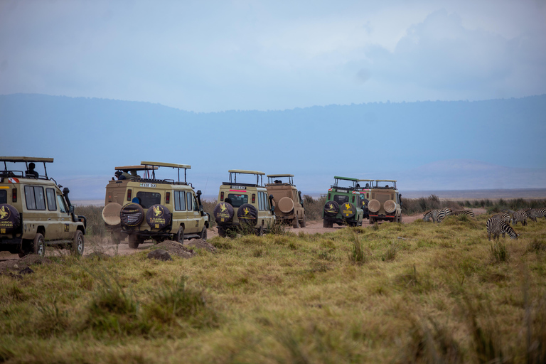 Arusha: 4-Day Mid-Range Safari to Tarangire and Ngorongoro