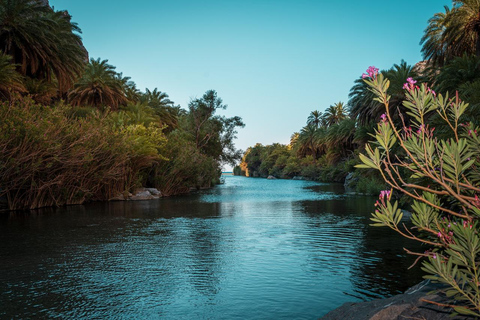 Panormo/Lavris: 1-dniowa wycieczka na plażę Preveli i do wąwozu Kourtaliotis