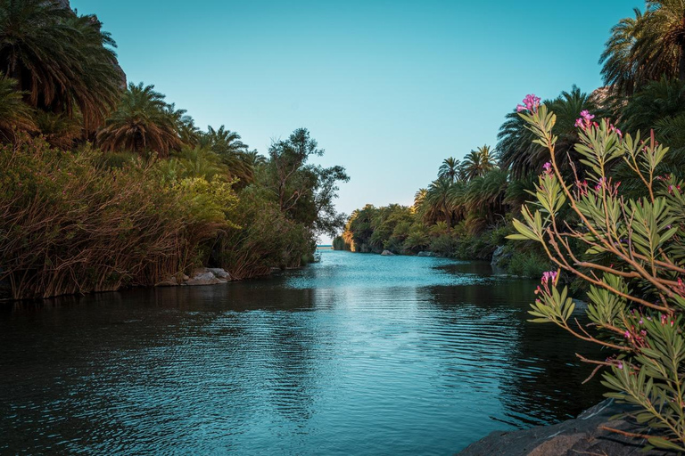 Panormo/Lavris: 1-dniowa wycieczka na plażę Preveli i do wąwozu Kourtaliotis
