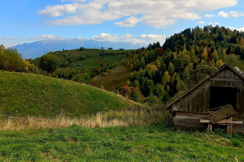Brașov: Visit a Transylvanian Village Home near Bran Castle From Brașov to a Traditional Village Home in the Bran Area