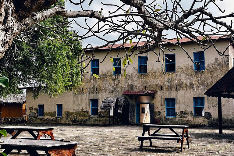 ZANZIBAR: Salaam-grot, Prison Island &amp; Jozani Forest TourZANZIBAR: Salaam-grot, Prison Island en Jozani Forest Tour