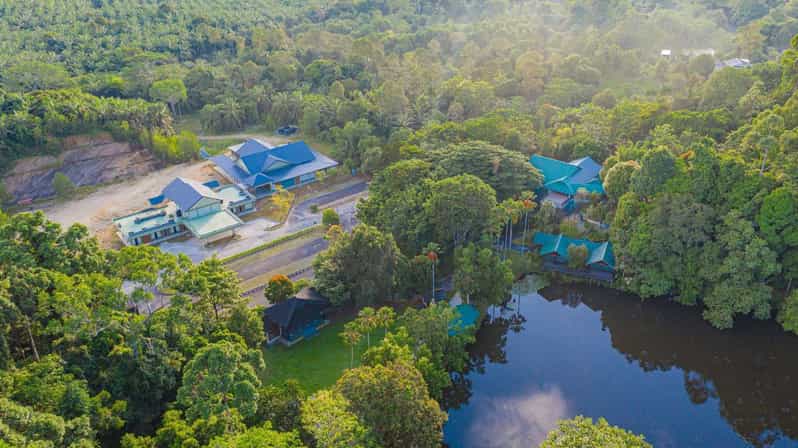 Rainforest Tour, Labuk Bay, Sun Bear & Sepilok | Sandakan