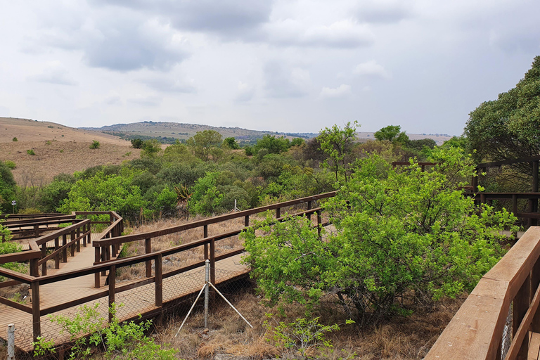 Johannesburg: Cradle of Humankind World Heritage Site TourJohannesburg: Werelderfgoedtour &#039;Cradle of Humankind&#039;