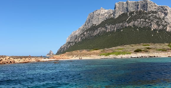 Golfo Aranci: Full-day cruise between Tavolara and Molara with Sardinian aperitif
